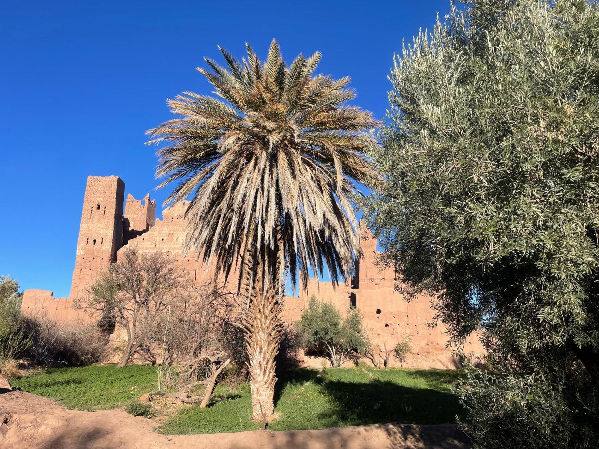 Maroc Des Merveilles - Chez L'Habitant Kelaat-M'Gouna ภายนอก รูปภาพ